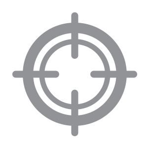 focus icon